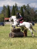 IMG_4167 IMG_4167