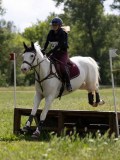IMG_4170 IMG_4170