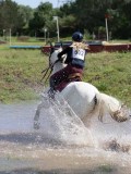 IMG_4179 IMG_4179