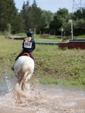 IMG_4180 IMG_4180