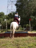 IMG_4182 IMG_4182