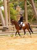 DSC06426 DSC06426