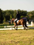 DSC09969