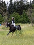 IMG_4262
