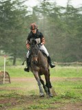 DSC08427 DSC08427
