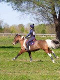 IMG_1589