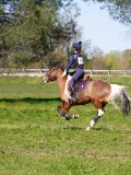 IMG_1591