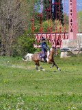 IMG_1595 IMG_1595