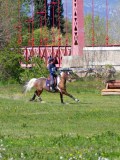 IMG_1596 IMG_1596