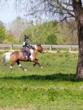 IMG_1601 IMG_1601