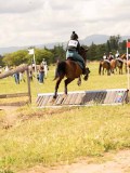 DSC09667 DSC09667
