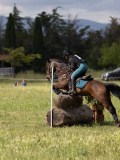 IMG_4185