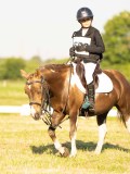 DSC00019 DSC00019