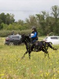 IMG_8258