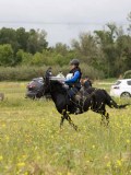 IMG_8259