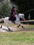 IMG_5062