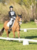 24_04807 24_04807