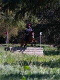 IMG_1635 IMG_1635