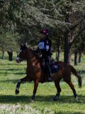 IMG_1637 IMG_1637