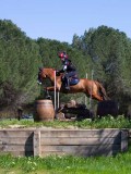 IMG_1640 IMG_1640