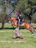 IMG_1643 IMG_1643
