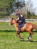 IMG_1646 IMG_1646