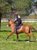 IMG_1648 IMG_1648