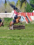 IMG_1649 IMG_1649