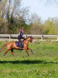 IMG_1651 IMG_1651