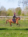 IMG_1654 IMG_1654