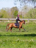 IMG_1655 IMG_1655