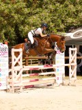 DSC01175 DSC01175