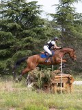 IMG_9893 IMG_9893