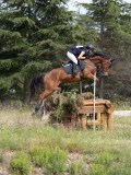 IMG_9896 IMG_9896