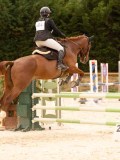 DSC06798 DSC06798