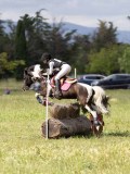 IMG_4199 IMG_4199