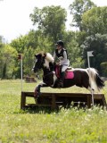 IMG_4201 IMG_4201