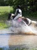 IMG_4207 IMG_4207