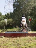 IMG_4210 IMG_4210