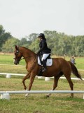 MAX00861