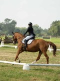 MAX00862