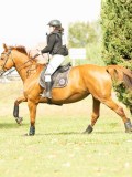 MAX02961