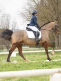 24_08236 24_08236