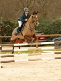 DSC07486 DSC07486