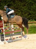 DSC07490 DSC07490