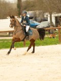 DSC07491 DSC07491