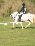 24_04841 24_04841