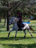 IMG_1609 IMG_1609