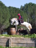 IMG_1614 IMG_1614