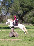 IMG_1617 IMG_1617